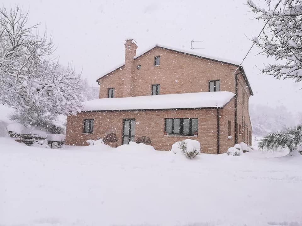 Agriturismo Campo Aperto Belvedere Ostrense Exterior foto